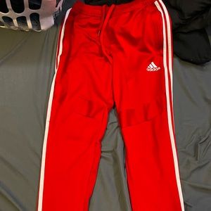 ADIDAS TIRO 19 JOGGER